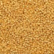 Miyuki seed beads 15/0 - Duracoat galvanized yellow gold 15-4203